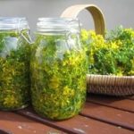 Зверобой настойка